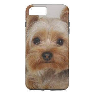 Coque iPhone 8 Plus/7 Plus Magnifique Yorkshire Terrier