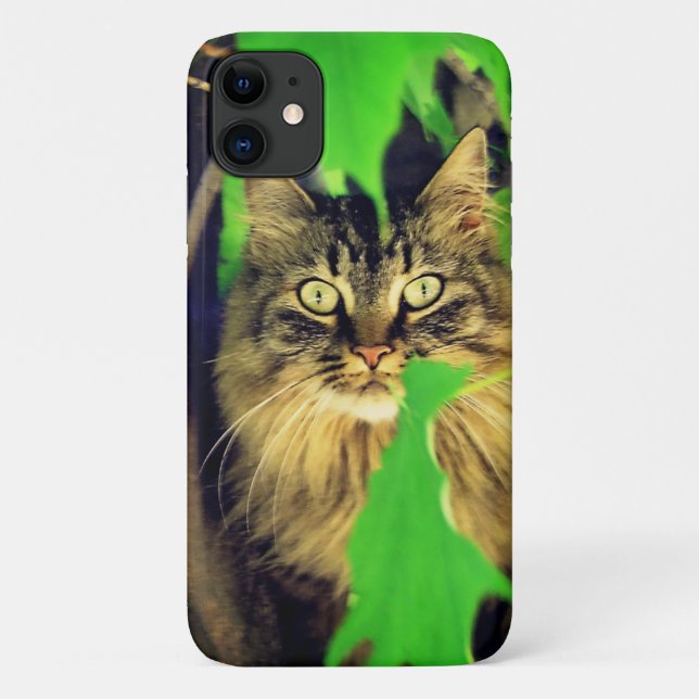 Coques Case-Mate iPhone Maine Coon dans l'arbre (Dos)