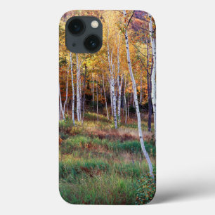 Etui iPhone 13 Maine, Parc national d'Acadia, Automne