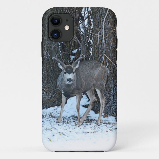 Coques Case-Mate iPhone Mâle de TALL RACK (Dos)
