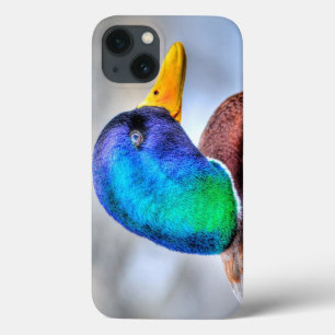 iPhone 13 Coque Mallard Duck Drake Wildlife Portrait