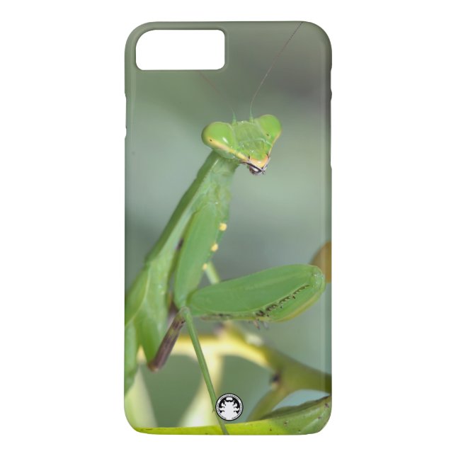 Coques Case-Mate iPhone Mante asiatique géante (Dos)