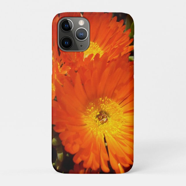 Coques Case-Mate iPhone Marguerites géantes, (Dos)