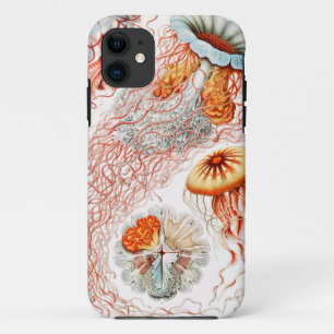 Case-Mate iPhone Case Méduses, Discomedusae par Ernst Haeckel