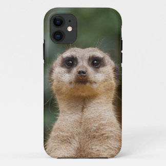 Case-Mate iPhone Case Meerkat 001