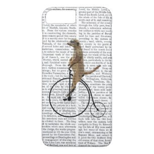 Coque Case-Mate Pour iPhone Meerkat sur Black Penny Farthing