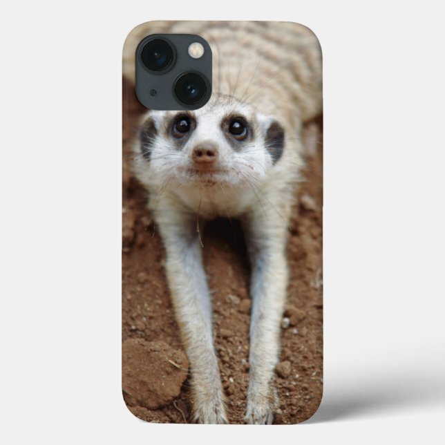 Coques Case-Mate iPhone Meerkat (Suricata Suricatta) refroidissant (Verso)