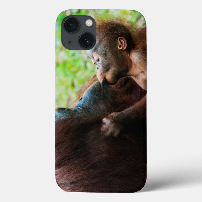 Coques Case-Mate iPhone Mère orang-outan et bébé (Verso)
