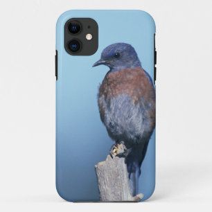 Etui iPhone Case-Mate Merlebleu de l'Ouest