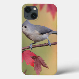iPhone 13 Coque Mésanges tuftées
