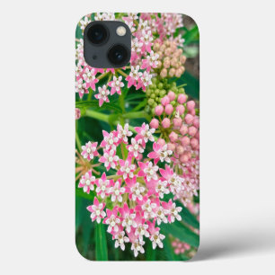 Case-Mate iPhone Case Milkweed alias Asclepias Summer Blooms