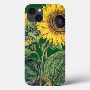 Coques Pour iPhone Miller : Tournesol