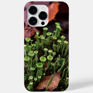 Coque Pour Pour iPhone 14 Pro Max moisissure