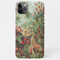 Mosses, Muscinae Laubmoose par Ernst Haeckel