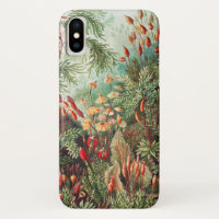 Mosses, Muscinae Laubmoose par Ernst Haeckel
