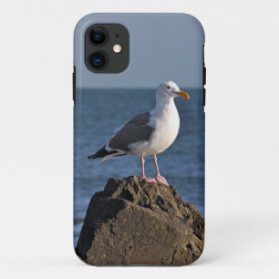 Case-Mate iPhone Case Mouette et océan blancs
