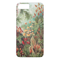 Mousses, Muscinae Laubmoose par Ernst Haeckel