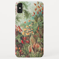Mousses, Muscinae Laubmoose par Ernst Haeckel