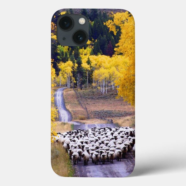 Coques Case-Mate iPhone Mouton sur Country Road (Verso)