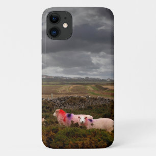 Case-Mate iPhone Case Moutons colorés