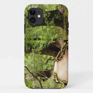 Etui iPhone Case-Mate Muir Woods Path II Nature Photography