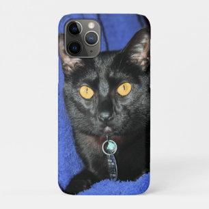 Case-Mate iPhone Case Murphy