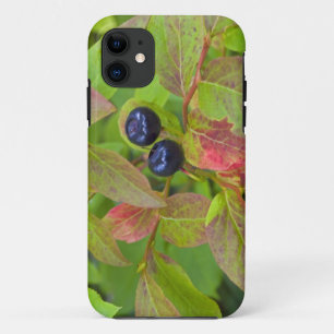 Coque Case-Mate Pour iPhone Myrtille mûre dans le Flathead National