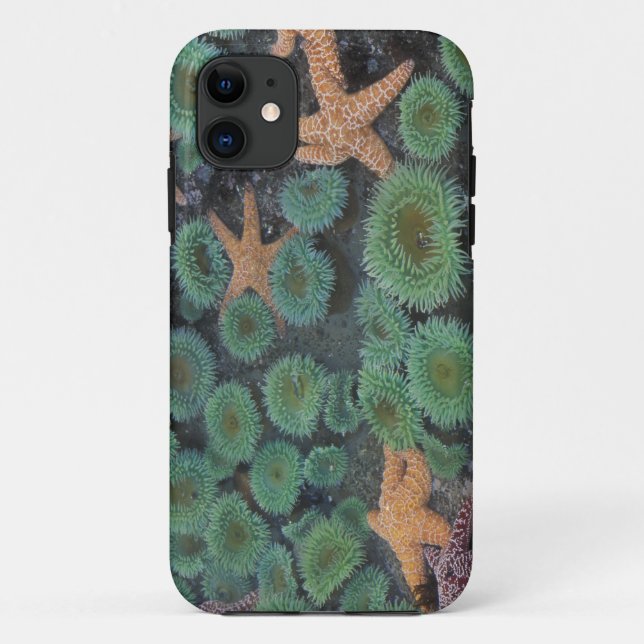 Coques Case-Mate iPhone N.A., États-Unis, Washington, Parc National Olympi (Dos)