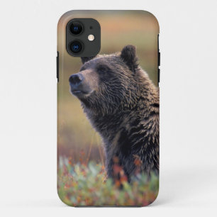Coques Pour iPhone NA, États-Unis, Alaska, Parc national Denali, Ours