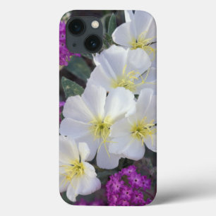 Etui iPhone 13 NA, États-Unis, Californie, Anza Borrego Desert St