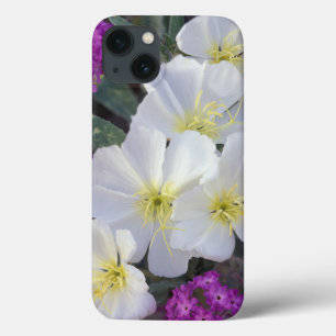 Etui iPhone 13 NA, États-Unis, Californie, Anza Borrego Desert St
