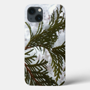 Case-Mate iPhone Case Neige sur les branches À feuillage persistant