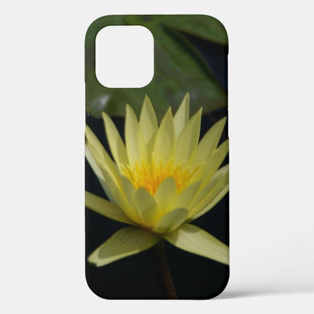 Coques Case-Mate iPhone Nénuphar Lotus jaune (Verso)