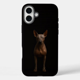 Coques iPhone 16 Plus Noir 4 Luxe iPhone 16 Plus, Chien Pila d'Argentine