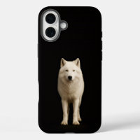 Noir 4 Luxe iPhone 16 Plus, Loup Arctique Ivoire