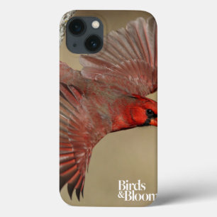 Etui iPhone Case-Mate Northern Cardinal In Flight