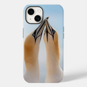 Coque Pour iPhone 14 Northern Gannet Seabird Coque-Mate iPhone 14