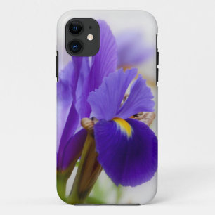 Coque iPhone 11 NOUVEAU capot Iphone5 Purple Iris