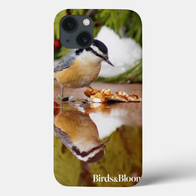 Coques Case-Mate iPhone Nuthatch à poitrine rouge (Verso)