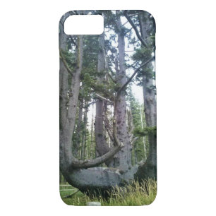 Case-Mate iPhone Case Octopus Tree, Cape Meares, Oregon