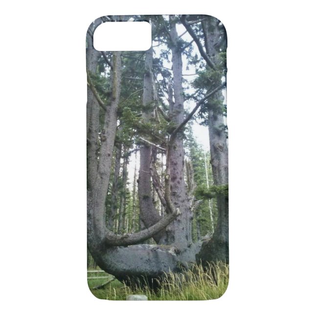 Coques Case-Mate iPhone Octopus Tree, Cape Meares, Oregon (Dos)