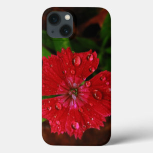 Etui iPhone Case-Mate Œillet rouge avec gouttes de pluie