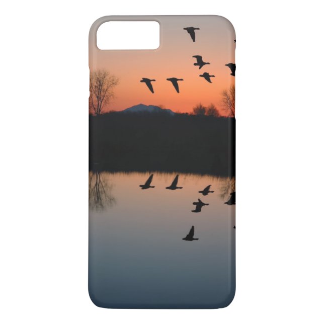 Coques Case-Mate iPhone Oie du soir (Dos)