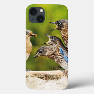 Etui iPhone Case-Mate Oiseau bleu oriental