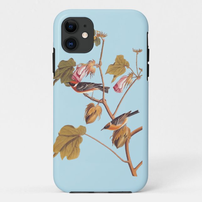 Coques Case-Mate iPhone Oiseau de Paruline à poitrine d'Audubon sur Plante (Dos)