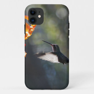 Coques Pour iPhone Oiseau de ronflement