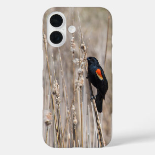 Coques iPhone 16 Oiseau roux