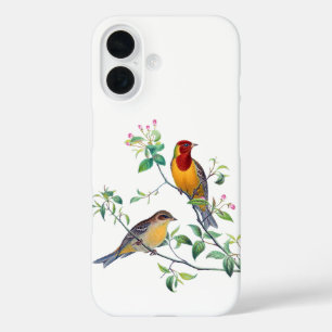 Coques iPhone 16 Oiseaux bariolés sur des branches
