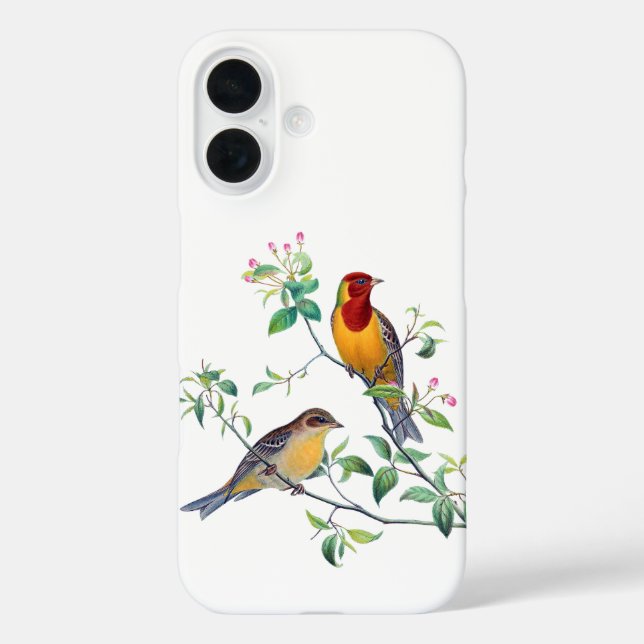 Coques Case-Mate iPhone Oiseaux bariolés sur des branches (Verso)