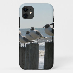 COQUE iPhone 11  OISEAUX DE MER